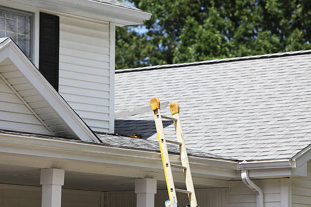 Best Storm Damage Siding Repair  in Sonoma State University, CA